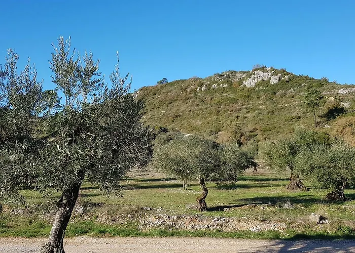 Casa Das Oliveiras