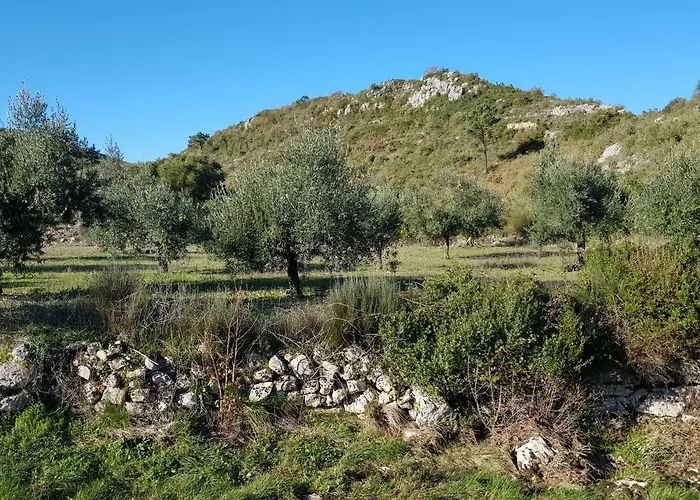 Casa Das Oliveiras