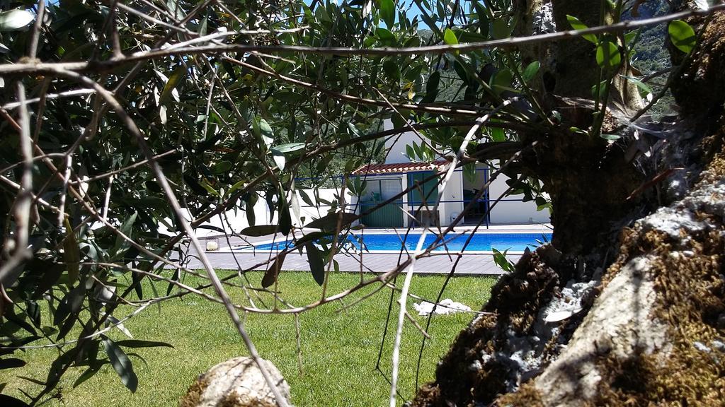 Villa Casa Oliveiras Alvados