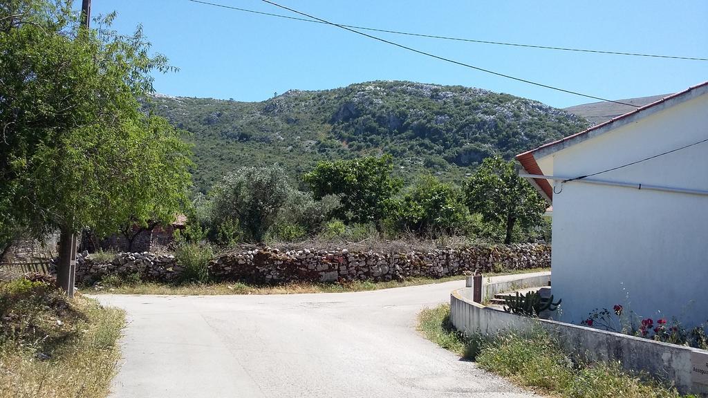 Casa Oliveiras * Alvados