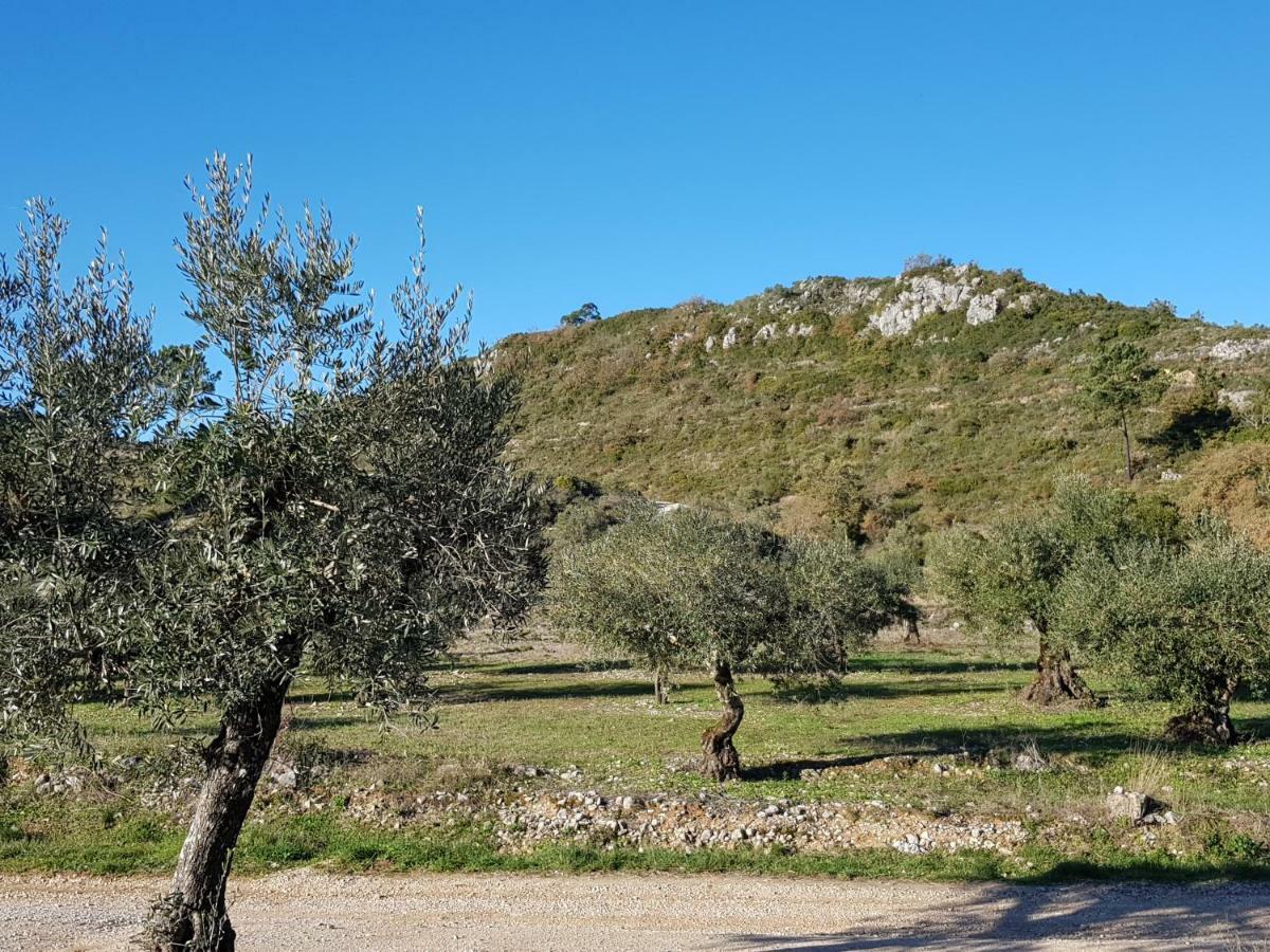 Casa Oliveiras Villa