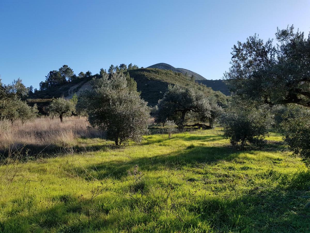 Casa Oliveiras * Alvados