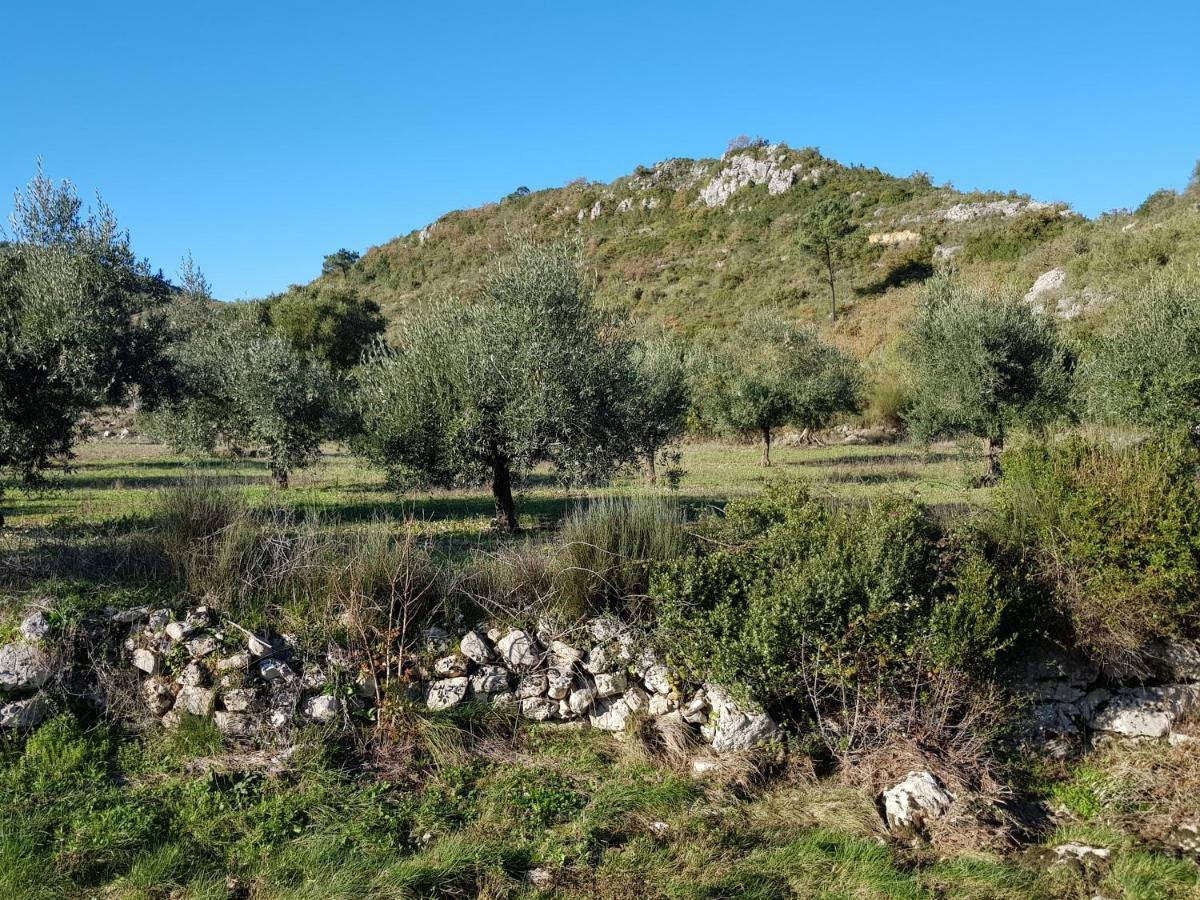 Casa Oliveiras Villa